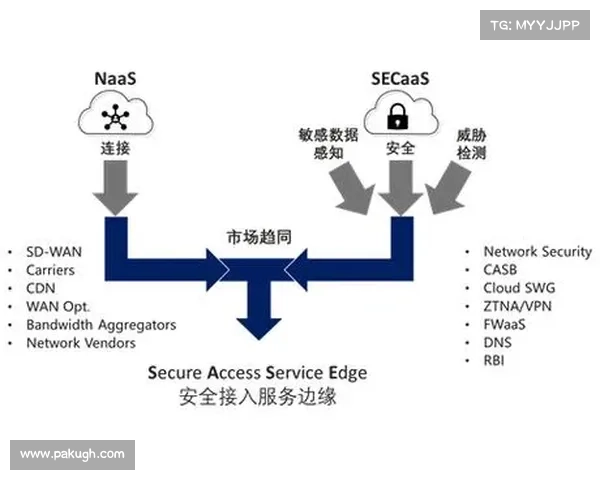 公共云加速了SASE的交付,但代价不菲 公共云加速了SASE的交付,但代价不菲