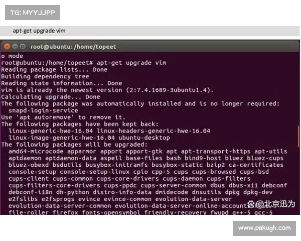 多个恶意软件在持续的APT32入侵中被部署 多个恶意软件在持续的APT32入侵中被部署